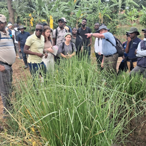 CEDAT students and staff complete intensive DIGITWATER fieldwork in Uganda